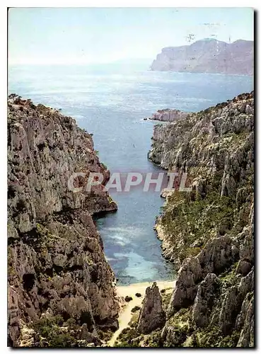 Moderne Karte Une Rose a la Boutanniere de la Provence Cassis sur Mer Calanque d'En Vau