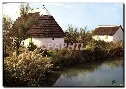 Cartes postales moderne La Camargue Cabane de Gardian