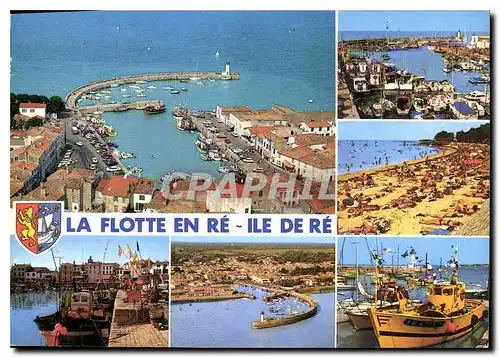 Cartes postales moderne La Flotte en Re Ile De Re