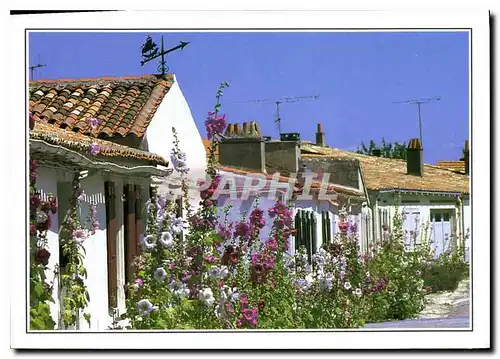 Moderne Karte Ile d'Aix Ruelle typique avec ses Roses Tremieres