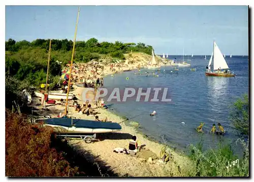 Cartes postales moderne Couleurs et Lumiere de France Ile De Re Charente Maritime La Plage de Trousse Chemise et son boi