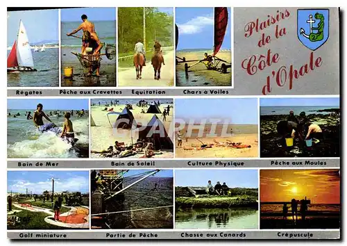 Cartes postales moderne Plaisirs de la Cote d'Opale Chars a voiles Golf Chasse aux canards Peche aux moules