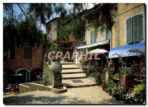 Cartes postales moderne La Cote d'Azur Coin Provencal Fleuri et pittoresque Restaurant