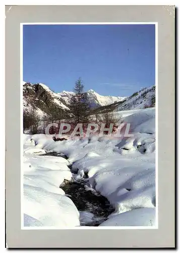 Cartes postales moderne Les Joies de la neige