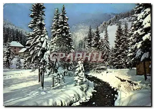 Cartes postales moderne La Riviere des Neiges