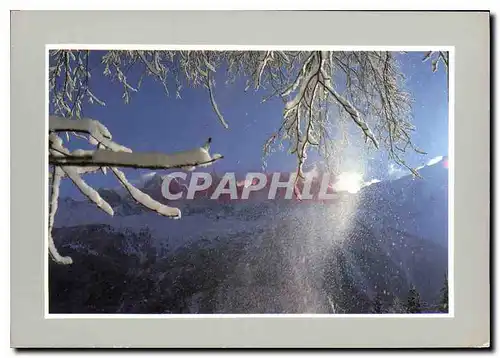 Cartes postales moderne Les Joies de la neige