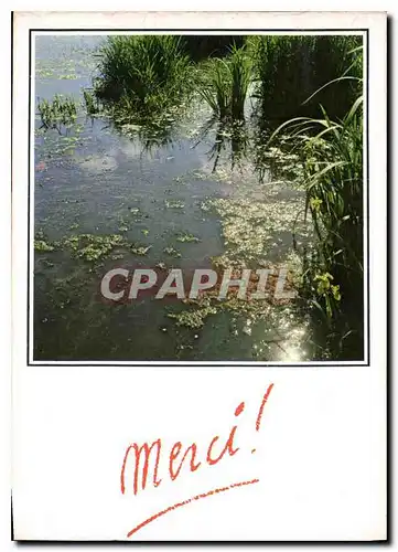 Cartes postales moderne La Baule