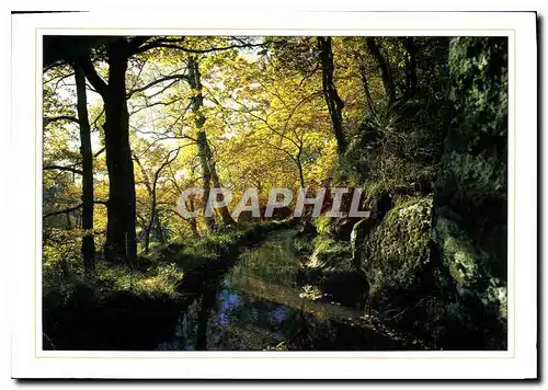 Cartes postales moderne Images de France Paysage Pittoresque