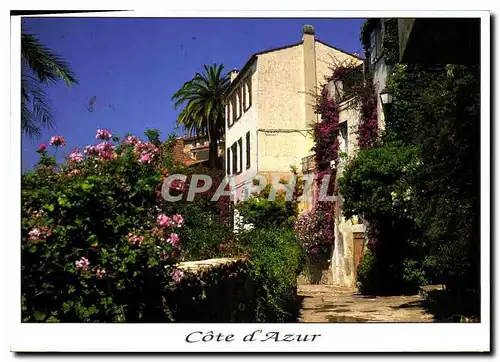 Cartes postales moderne Cote d'Azur