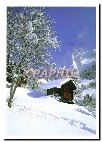 Cartes postales moderne Neige et Soleil