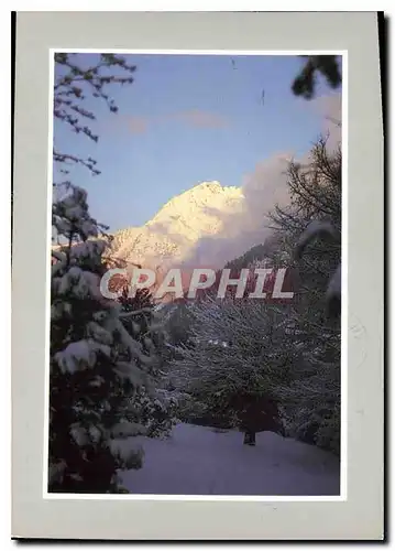 Cartes postales moderne Les Joies de la Neige