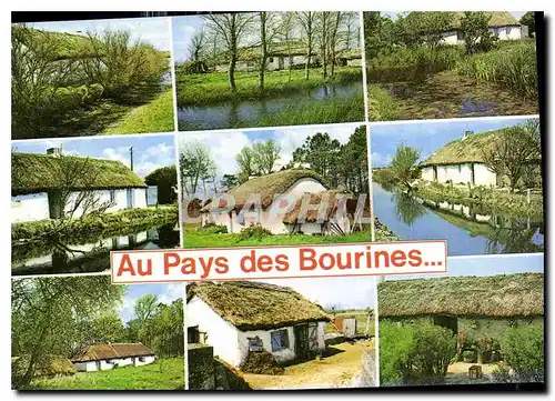 Cartes postales moderne Au Pays des Bourines