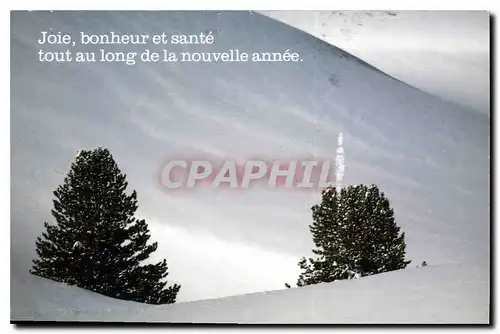 Cartes postales moderne Joie bonheur et sante tout au long de la nouvelle annee