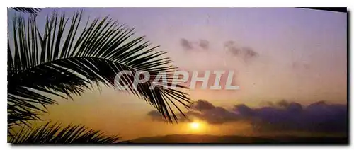 Cartes postales moderne Visage des Landes Soleil Couchant