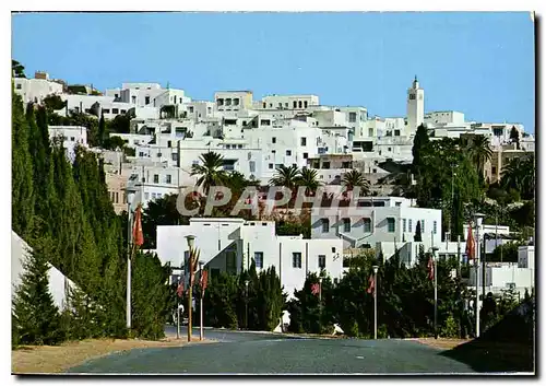 Cartes postales moderne Sidi Bou Said Vue Panoramique Kahia rue de Marseille Tunis