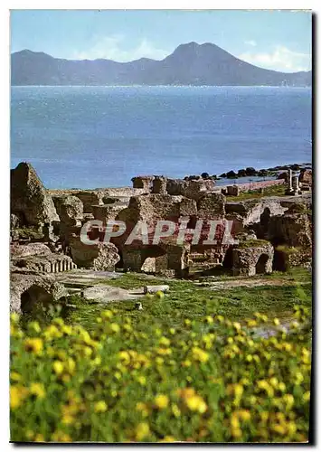 Cartes postales moderne Carthage Thermes d'Antonin Kahia rue de Marseille Tunis