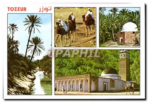 Cartes postales moderne Tunisie Oasis de Tozeur