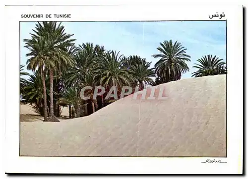 Cartes postales moderne Souvenir de Tunisie