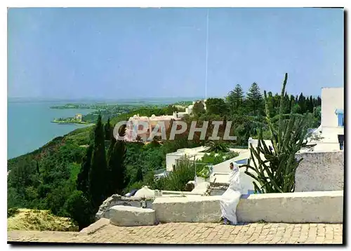 Cartes postales moderne Sidi Bou Said Tunisie La Colline et ses jardins