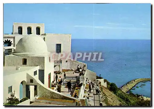 Cartes postales moderne Sidi Bou Said Cafe Sidi Chebaan Kahia rue de Marseille Tunis