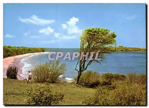 Moderne Karte Martinique le Sud de l'Ile Plage des Solines et ilet Cabrits