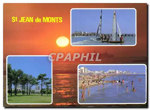 Cartes postales moderne La Vendee Touristique Saint Jean de Monts La Plage la foret