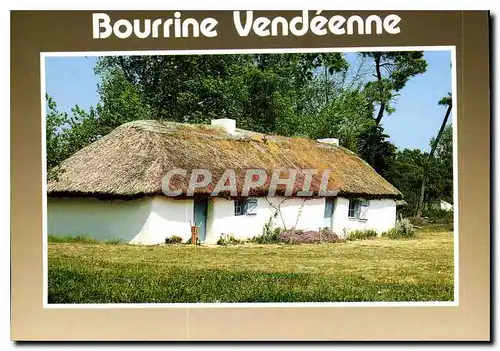 Cartes postales moderne Au pays de Monts Bourrine Vendeenne