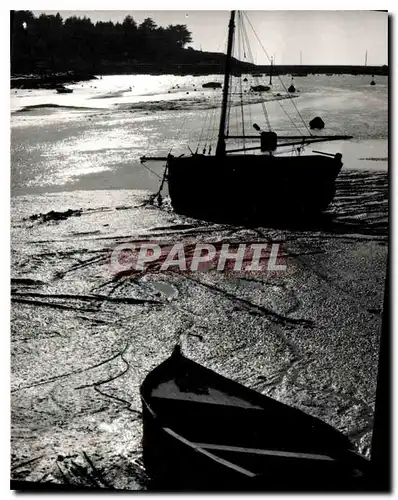 Cartes postales moderne Vendee La cote Bateau de peche