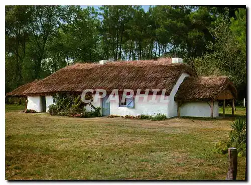 Cartes postales moderne Bourrine en Vendee