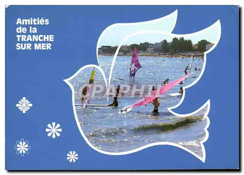 Cartes postales moderne Cote de Lumiere Cote de Fleurs La Tranche sur Mer Planche a voile