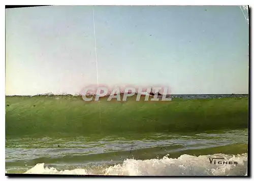Cartes postales moderne Visage des Landes Quand la vague se souleve La mer toit de verdure est blanche sur les cretes