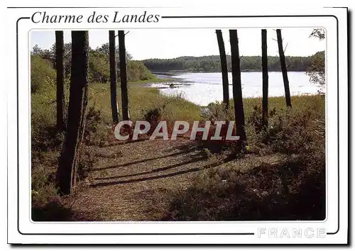 Cartes postales moderne Charme des Landes