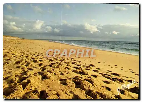 Moderne Karte Visage des Landes La plage au soleil couchant