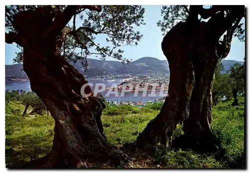 Moderne Karte Poros Vue partielle