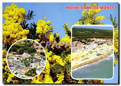 Cartes postales moderne Notre Dame de Monts