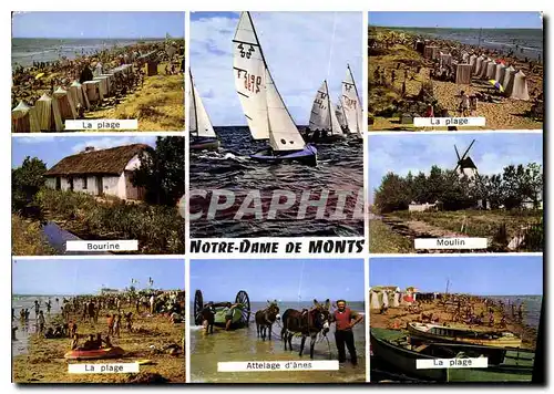 Cartes postales moderne Notre Dame de Monts