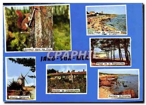 Cartes postales moderne Jard sur Mer Ecureuil Ragounitte Moulin Bellevue