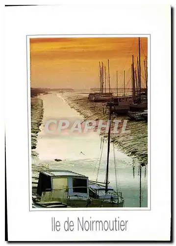 Cartes postales moderne Ile de Noirmoutier