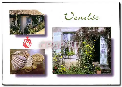 Cartes postales moderne Vendee