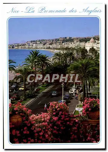 Cartes postales moderne Cote d'Azur French Riviera Nice Alpes Maritimes La Promenade des Anglais