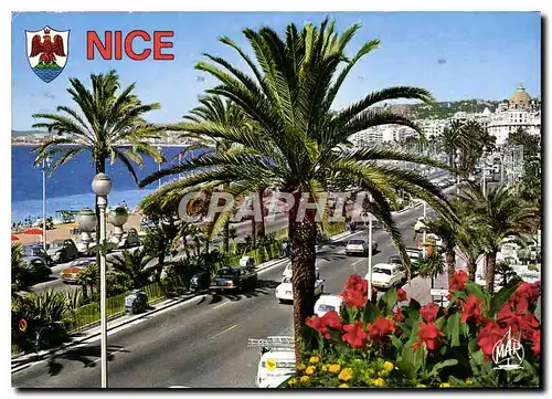 Cartes postales moderne La Cote d'Azur Nice La Promenade des Anglais