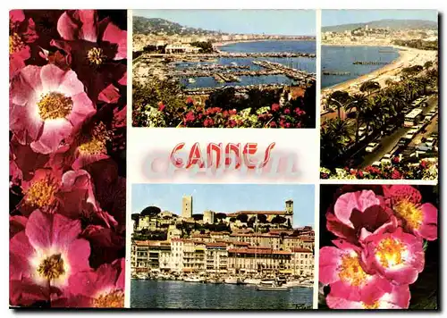 Cartes postales moderne La Cote d'Azur Inoubliable Cannes