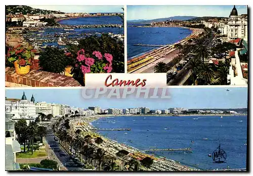 Cartes postales moderne La Cote d'Azur Cannes