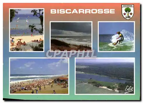 Cartes postales moderne Biscarrosse Cote Landaise Le Lac La plage Le Surf