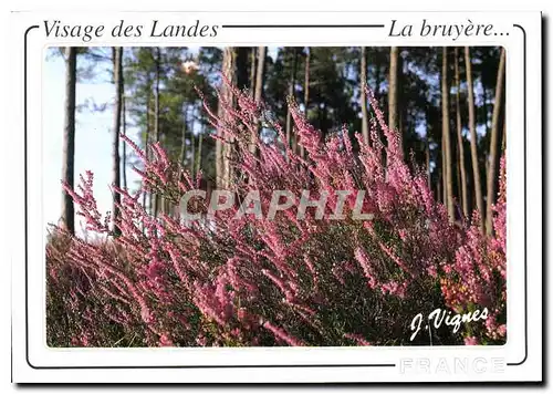 Moderne Karte Visage des Landes La Bruyere