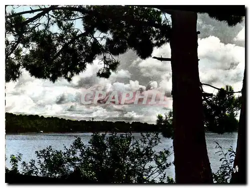 Cartes postales moderne Visage des Landes Avant