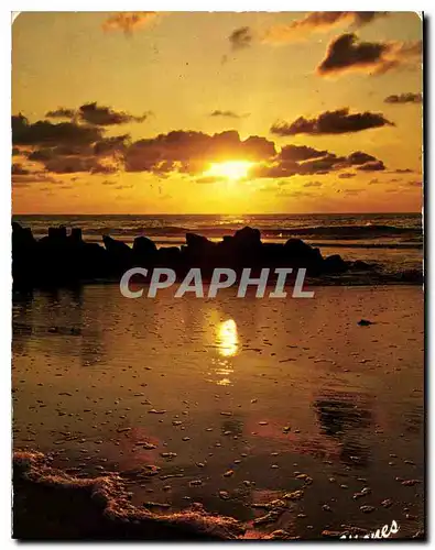 Cartes postales moderne Visage des Landes Coucher de soleil sur l'Ocean