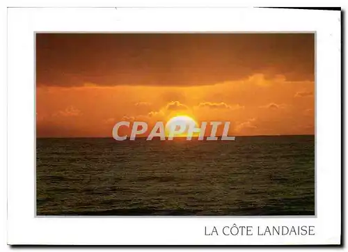 Cartes postales moderne La Cote Landaise