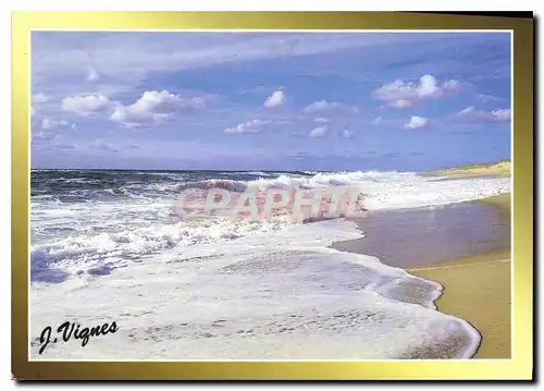 Cartes postales moderne Visage des Landes