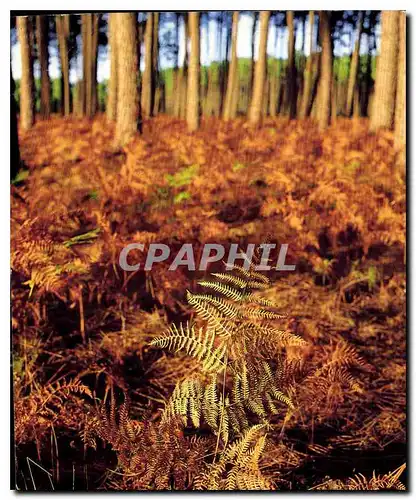 Moderne Karte La France Les Landes Touristique La Foret Aquitaine